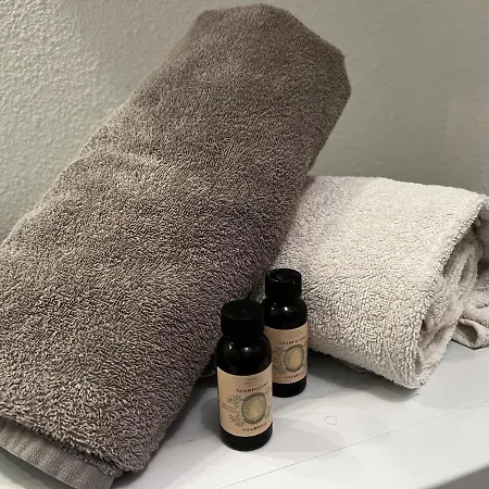 Appartement Grand Studio, Coin Nuit Separe, Terrasse Et Garage Privatif *