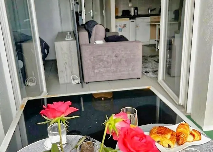 Appartement Grand Studio, Coin Nuit Separe, Terrasse Et Garage Privatif *