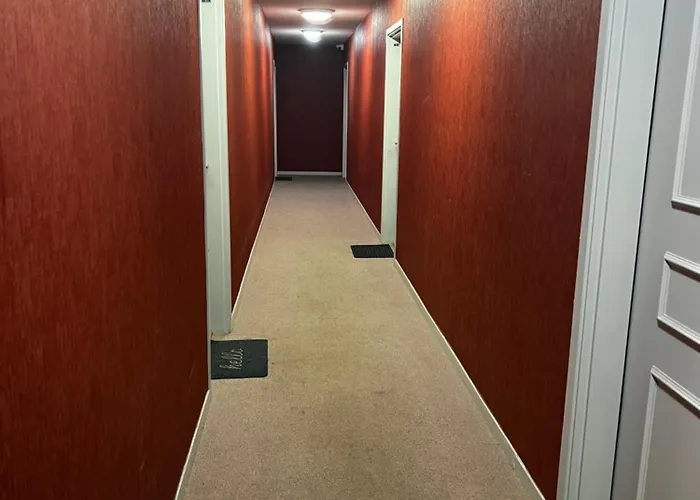 Grand Studio, Coin Nuit Separe, Terrasse Et Garage Privatif