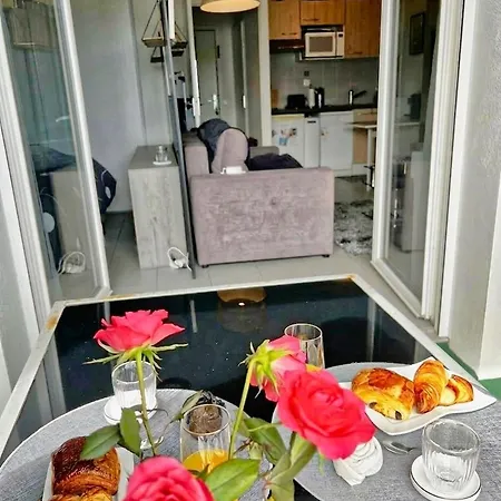 Apartment Grand Studio, Coin Nuit Separe, Terrasse Et Garage Privatif *