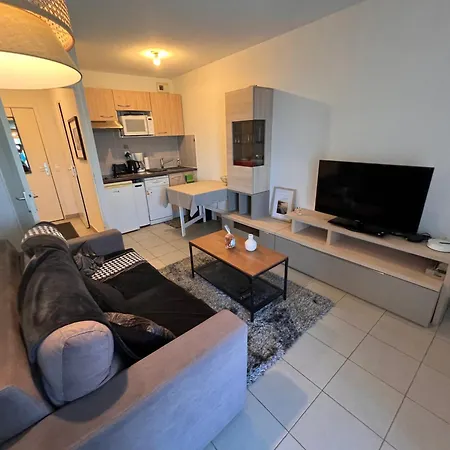 דירה Grand Studio, Coin Nuit Separe, Terrasse Et Garage Privatif