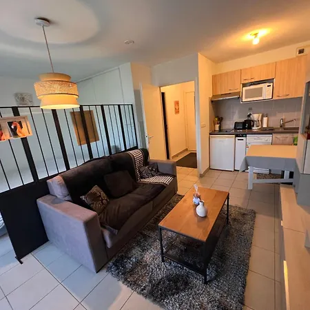 Grand Studio, Coin Nuit Separe, Terrasse Et Garage Privatif