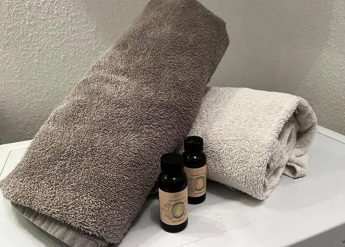 Lejlighed Grand Studio, Coin Nuit Separe, Terrasse Et Garage Privatif *